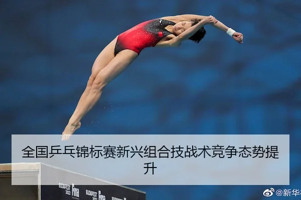 全国乒乓锦标赛新兴组合技战术竞争态势提升